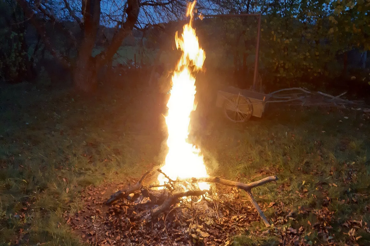 Dead by Daylight (PC, Steam): stock photo (A campfire burning at dusk on a grassy lawn under bare trees), not the actual product
